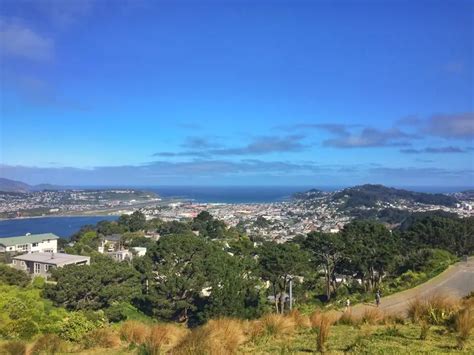 The Mount Victoria Lookout Walkway, Wellington | Tiki Touring Kiwi