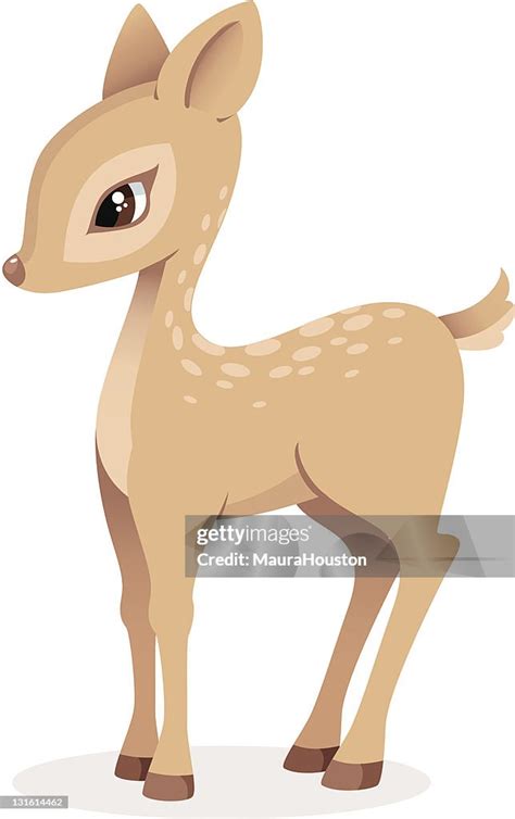 Cute Little Fawn High Res Vector Graphic Getty Images