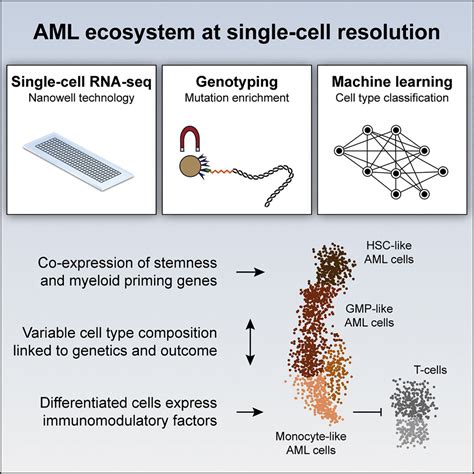 Hovestadt Lab Publications