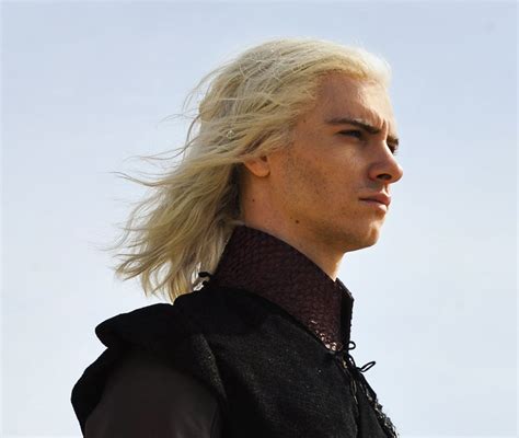 Viserys Targaryen - House Targaryen Photo (24524251) - Fanpop