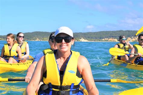 Noosa Dolphin View Kayak Tour Great Beach Drive Adventure Boat Tour