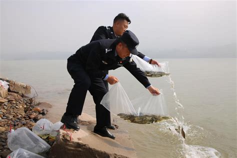 渝北举行打击非法捕捞集中销毁渔具行动暨非法捕捞水产品犯罪公开宣判会澎湃号·政务澎湃新闻 The Paper