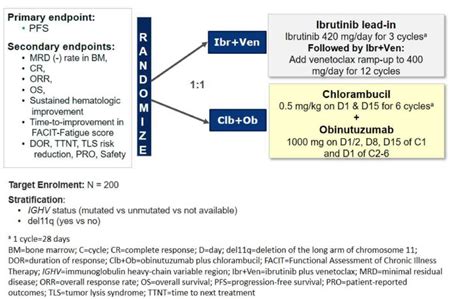 Figure Schema For The Glow Study Ibrutinib Imbruvica Ncbi