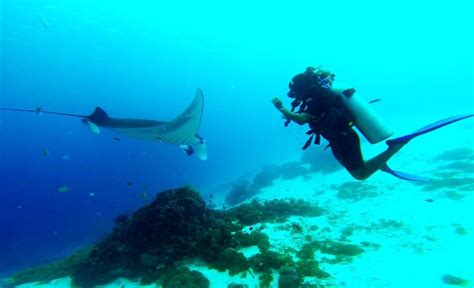 7 Scuba Diving Tips For Beginners | Go Live Explore