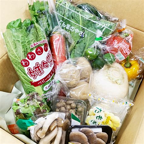 【楽天市場】【定期購入】おまかせ野菜セット 野菜15品詰め合わせ 【本州・四国送料無料】野菜 定期便：夜の八百屋さん