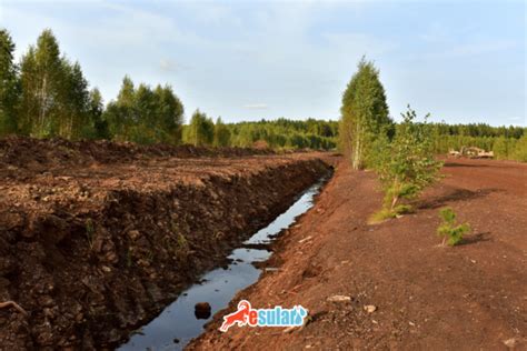 Drenaj Nedir esular Kablosuz Akıllı Otomatik Sulama Sistemi