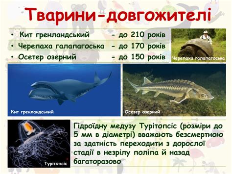 Презентація "Тривалість життя. Вік тварин"