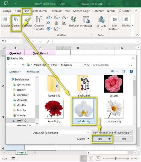 Resim Ekleme Temel Düzey Excel Dersleri