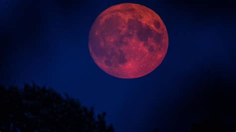 Astronomie Was Den Menschen Noch Immer Antreibt Den Mond Zu