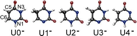 Anionic tautomers of uracil studied by Haransczyk et al. [107]. This ...