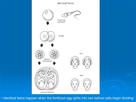 Ppt Puberty Powerpoint Presentation Free Download Id 9694399