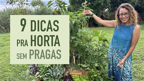 Guia Prático defesa NATURAL contra PRAGAS na HORTA e no jardim YouTube