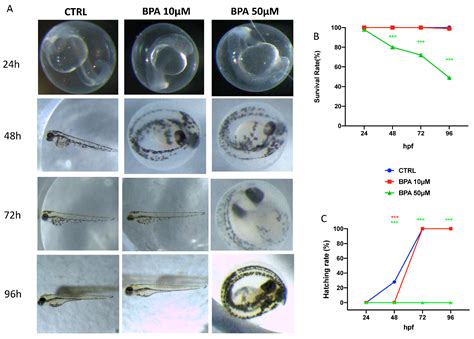 Toxics Free Full Text Combined Toxicity Of Xenobiotics Bisphenol A