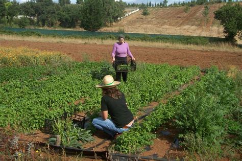 Ministerio De Agricultura Pesca Y Alimentación Pesca Información