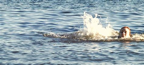 Raiders Of The Lost Shark Weaponizes A Shark Trailer Bloody