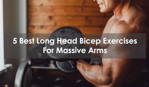 5 Best Long Head Bicep Exercises For Massive Arms