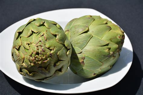 Tavor Artichoke Cynara Cardunculus Var Scolymus Tavor In Reno