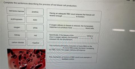 Solved Complete The Sentences Describing The Process Of Red