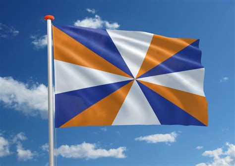 Brielse Geuzenvlag Bestel Bij Mastenenvlaggen Nl