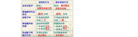 基因与染色体的关系 Word文档在线阅读与下载 无忧文档