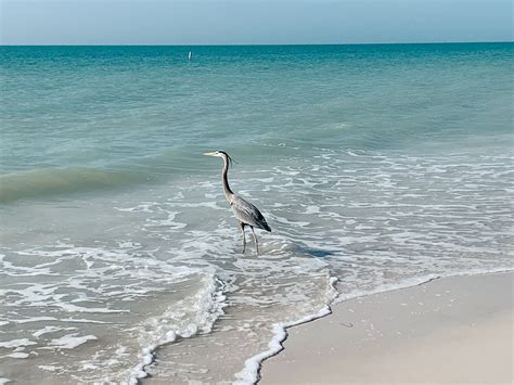 Clearwater In April Weather Travel Tips And More For 2025 Exploring