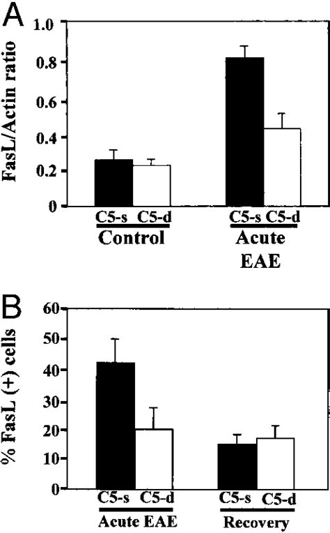 Fasl Expression In C5 D And C5 S Mice With Eae A Rtpcr For Fasl The Download Scientific