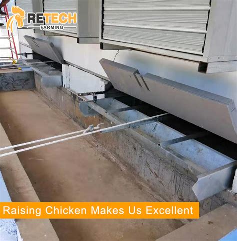 Automatic Chicken Manure Removing System For Poultry Farm Manure