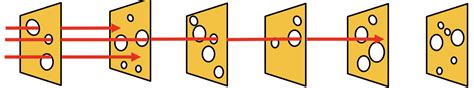 The Swiss Cheese Risk Management Model For Bsl 2 Laboratories