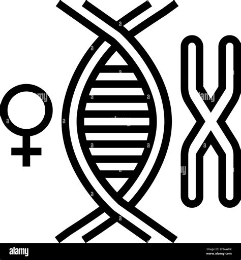 Female Chromosome Genetic Line Icon Vector Illustration Stock Vector