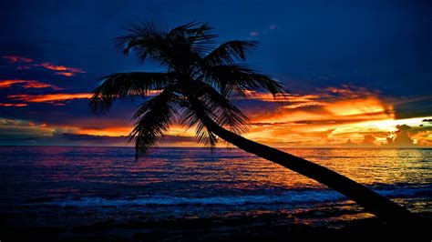 Tropical Sunset Beach