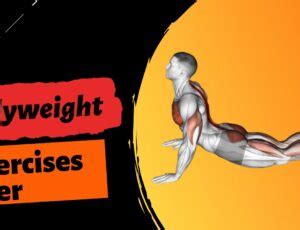 6 Best Bodyweight Exercises