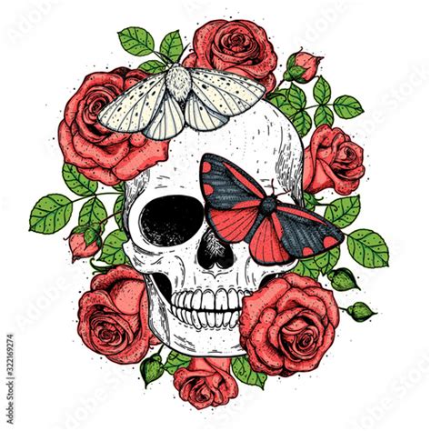 Skull And Butterflies Hand Drawn Sketch Illustration Tattoo Vintage