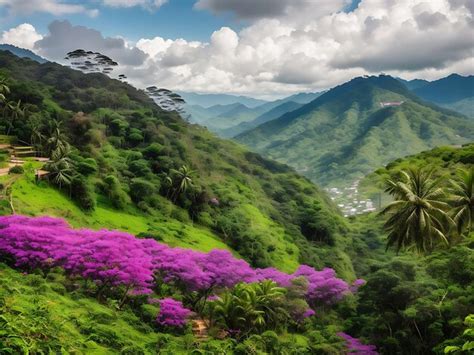 Fotos De Maravillas Naturales Colombianas 94 000 Fotos De Stock