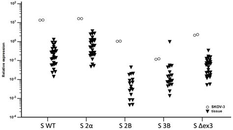 Relative Expression Of Survivin Isoforms In The SKOV 3 Cell Line