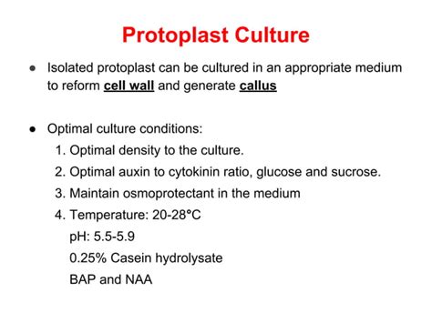 Protoplast Culture | PPT