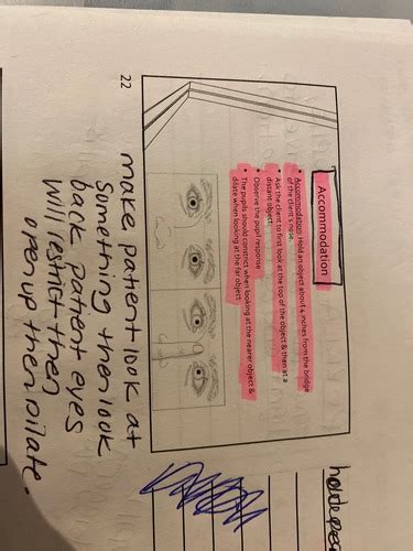 Physical Assessment Flashcards Quizlet