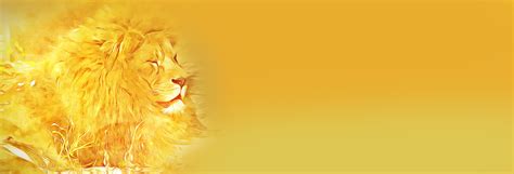 Free Images Banner Digital Graphics Lion Yellow Yellowish In