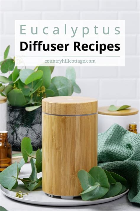 Eucalyptus Diffuser Blends