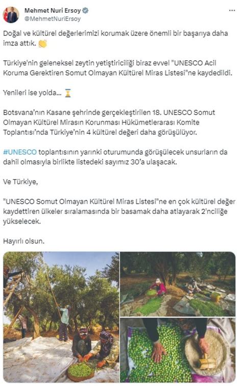 Türkiye nin geleneksel zeytin yetiştiriciliği UNESCO da Sonsöz Gazetesi