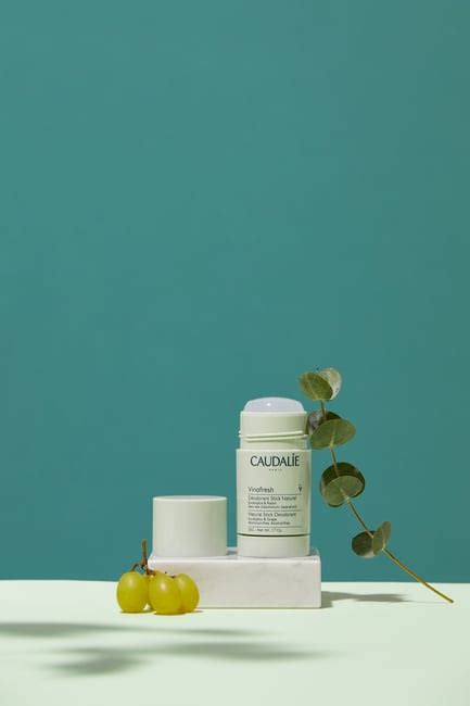 Caudalie Vinofresh Deodorant Natural Stick G Online Bestellen