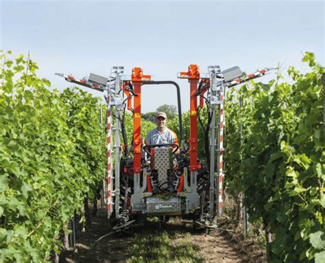 Cimatrici Da Vigneto Come Funzionano E A Cosa Servono