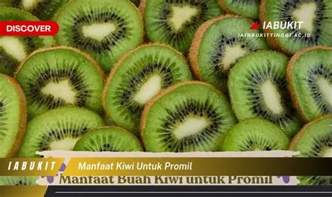 Temukan Manfaat Kiwi Untuk Promil Yang Jarang Diketahui Discover