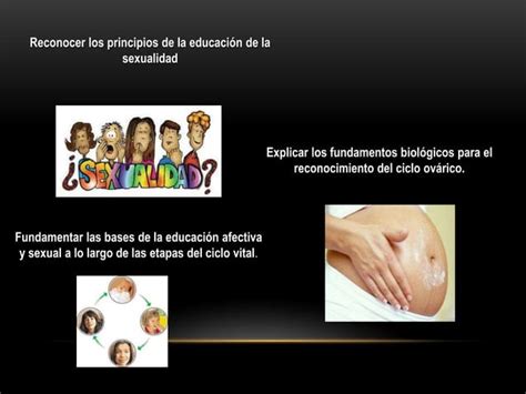 Los Principios Fundamentales De La Sexualidad Ppt