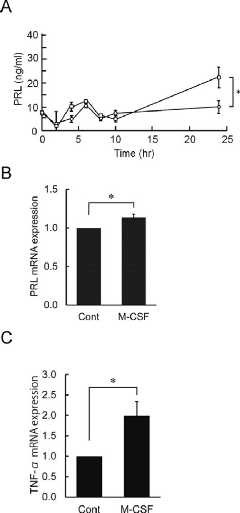 Prl Expression Induced By M Csf Administration A Ria Was Performed