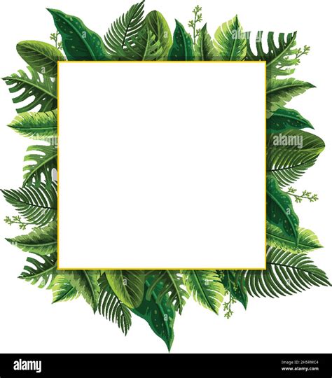 Square Frame With Tropical Green Leaves Illustration Stock Vector Image