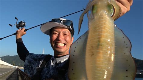 3号以下のエギとシャロータイプエギは実は年中使える武器【きもっち木森直樹のエギング爆乗り戦略】 釣りの総合ニュースサイト