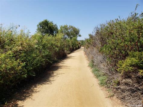 San Joaquin Wildlife Sanctuary Day Trip Irvine California