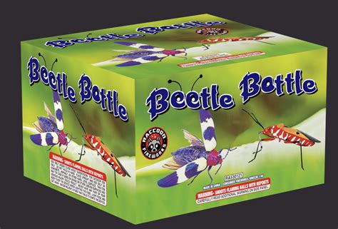 Beetle Battle Fantasy Fireworks Hinsdale Nh Seabrook Nh