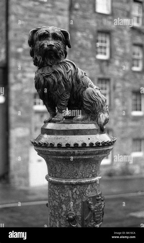 The Greyfriars Bobby Fountain Hi Res Stock Photography And Images Alamy