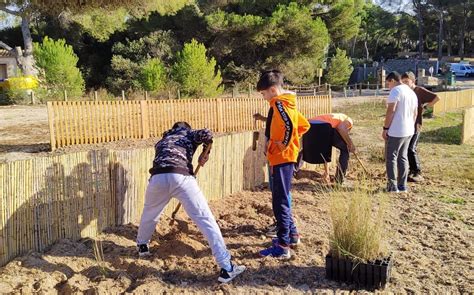 Un Centenar De Alumnos Del Ies Santany Plantan Rboles Frutales Y